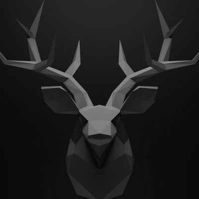 kepala rusa tanduk wallpaper hd 3D