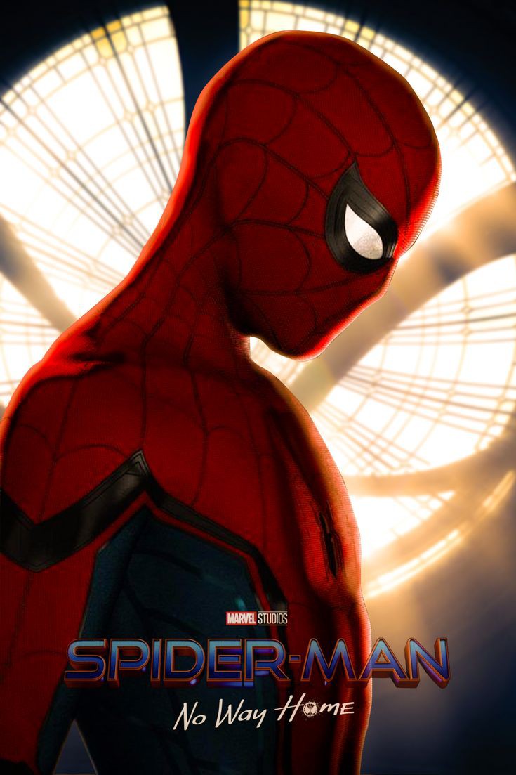 Spiderman No Way Home Poster Wallpaper Phone