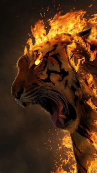 Harimau Wallpaper Api